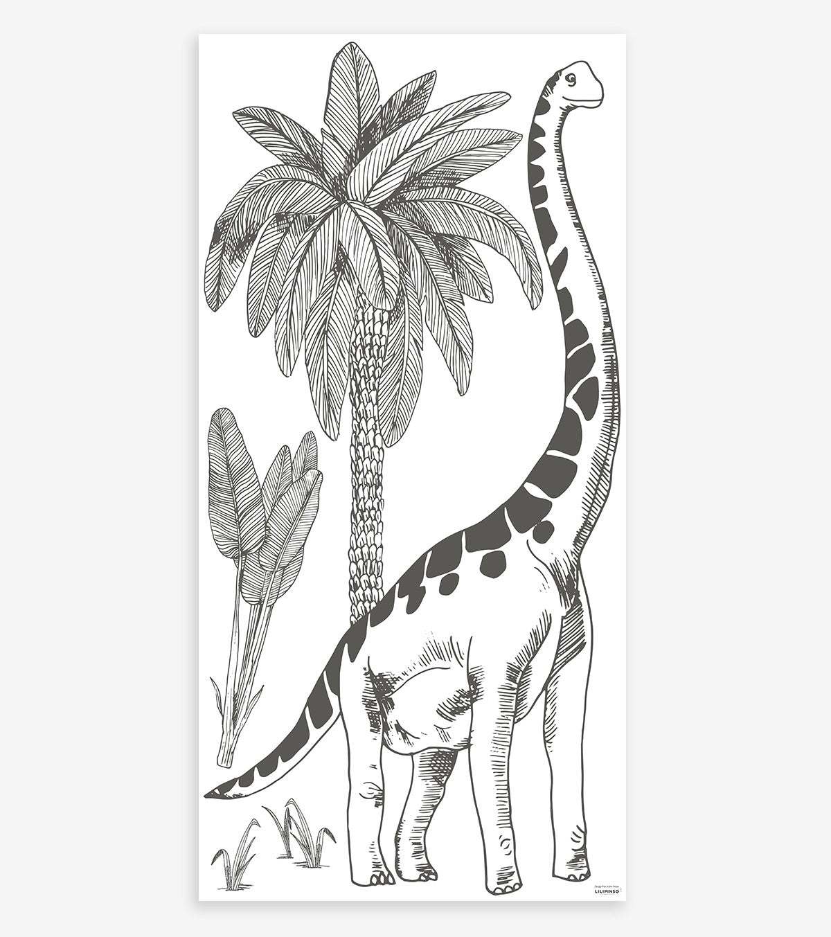 Dinosaurus – Wall Decals Murals – Diplodocus And Palm Tree