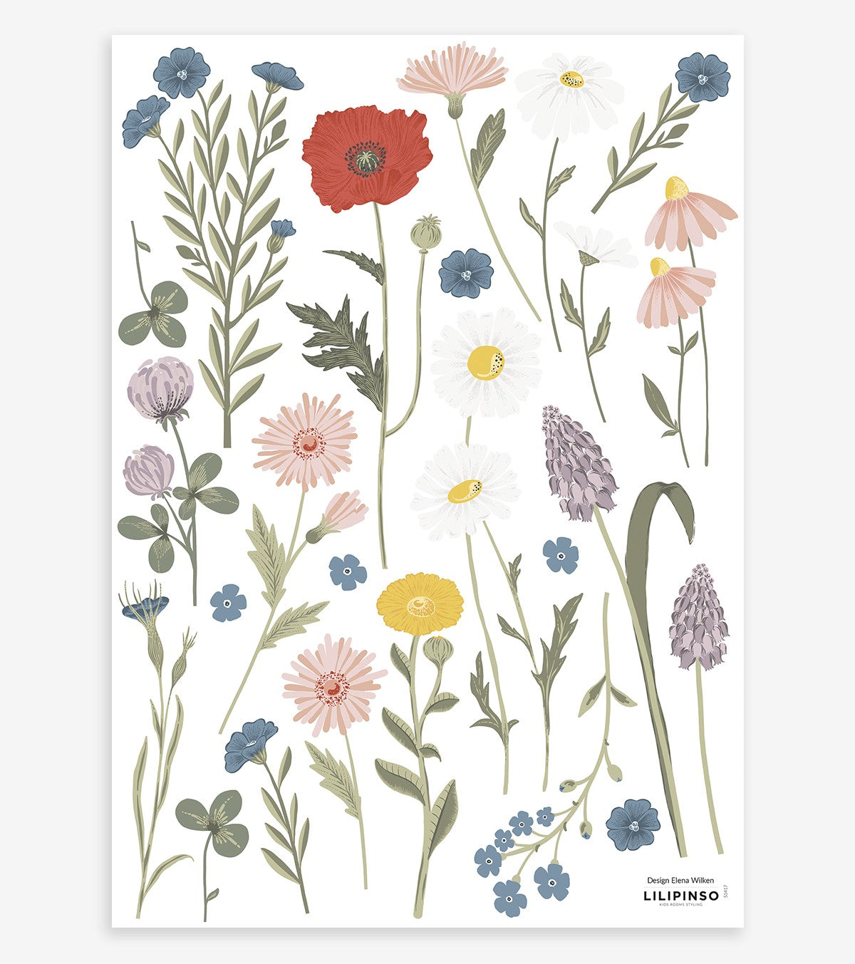 Wildflowers – Wall Decals – Flowers: Cornflowers, Poppies …