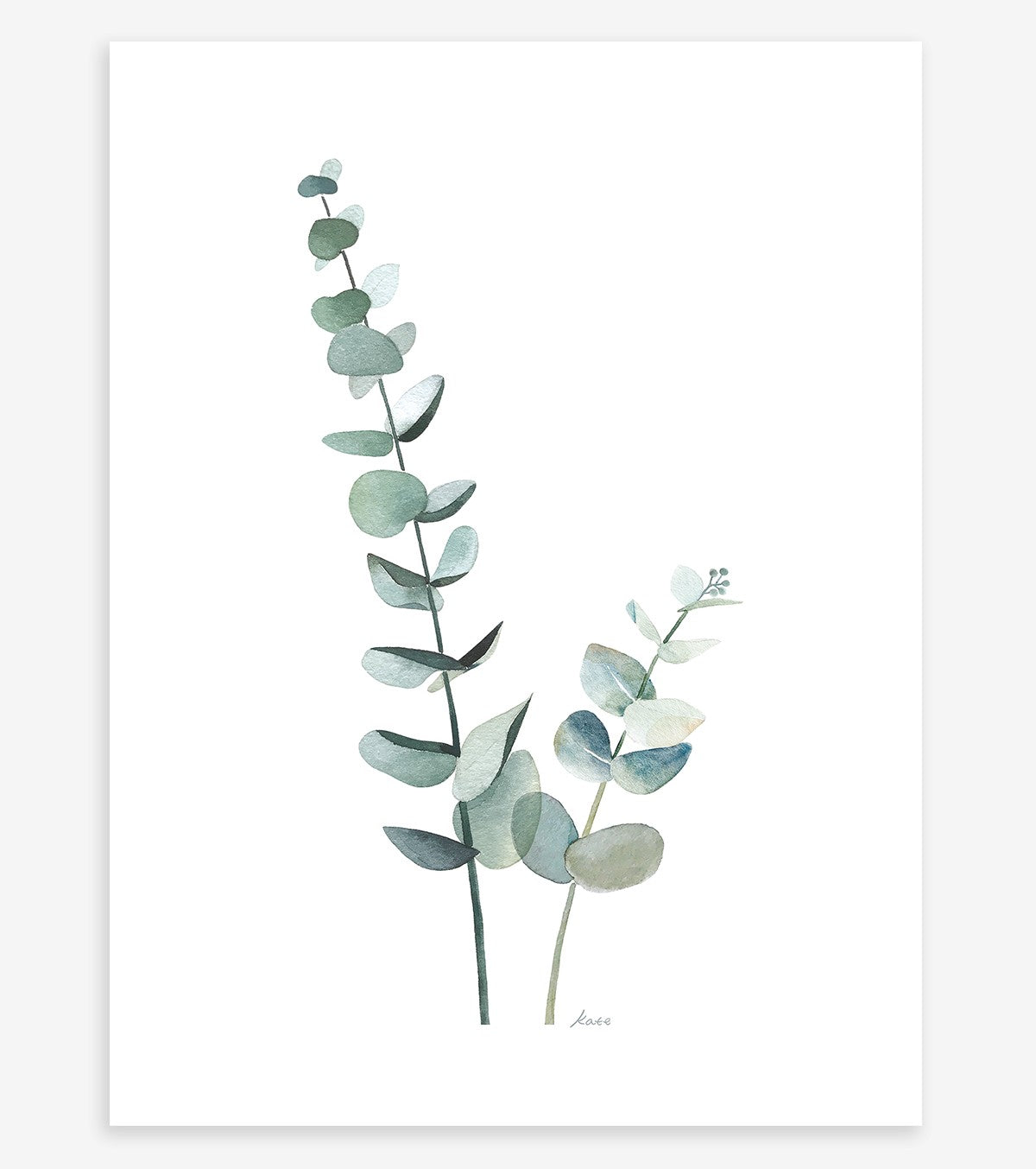 Greenery – Children’s Poster – Eucalyptus Stems