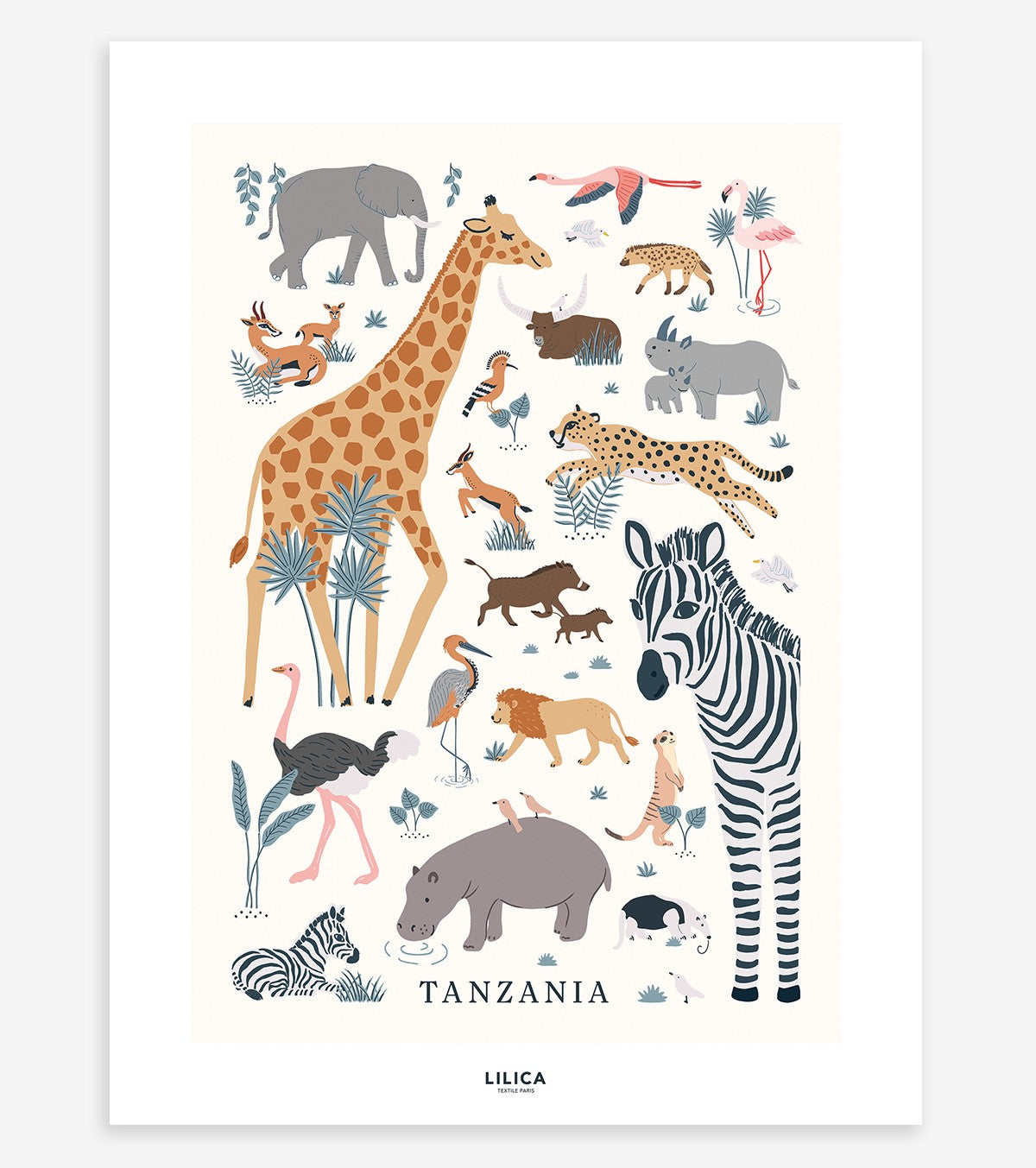 Tanzania – Children’s Poster – Wild Animals