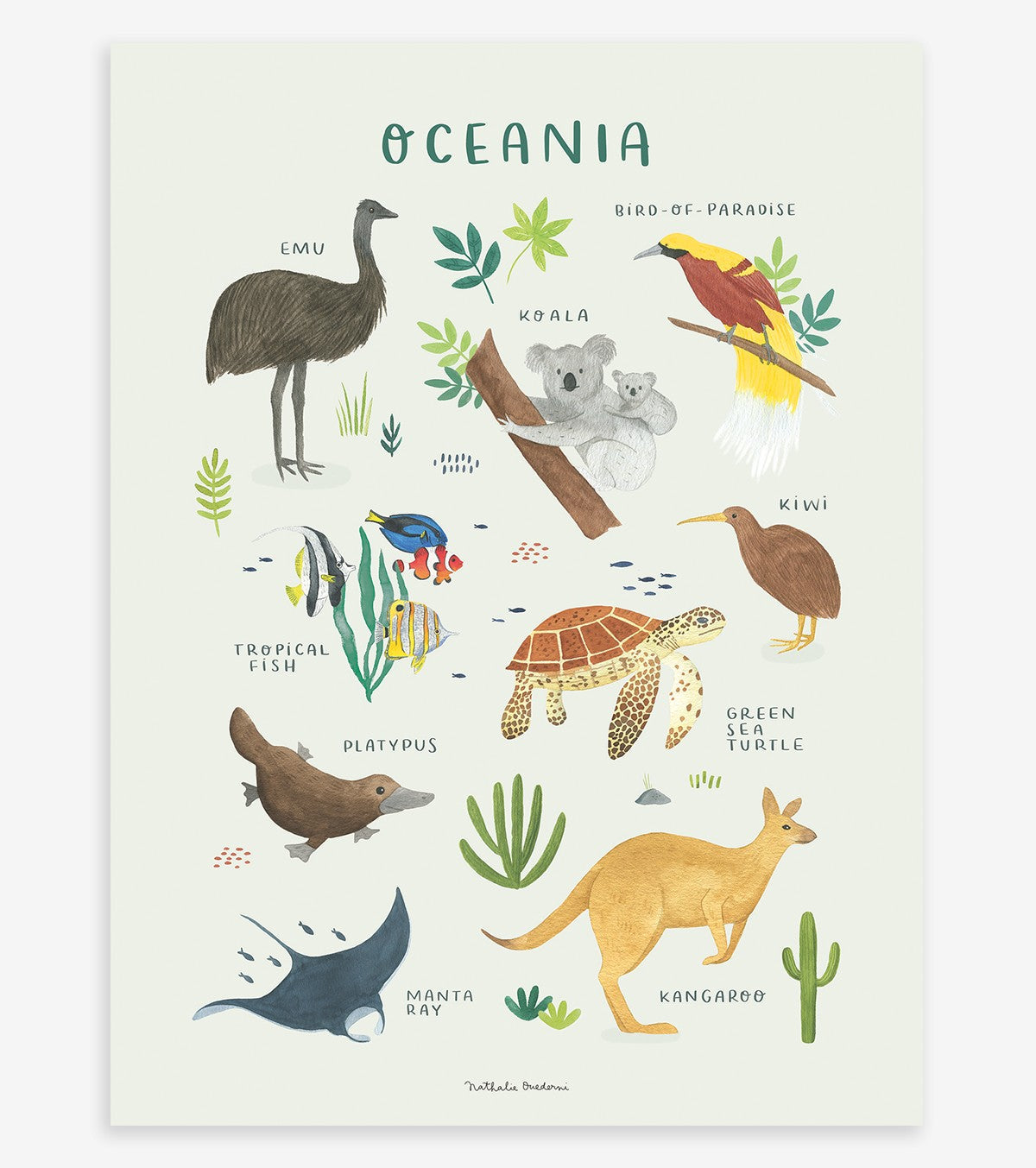 Living Earth – Children’s Poster – Animals Of Oceania