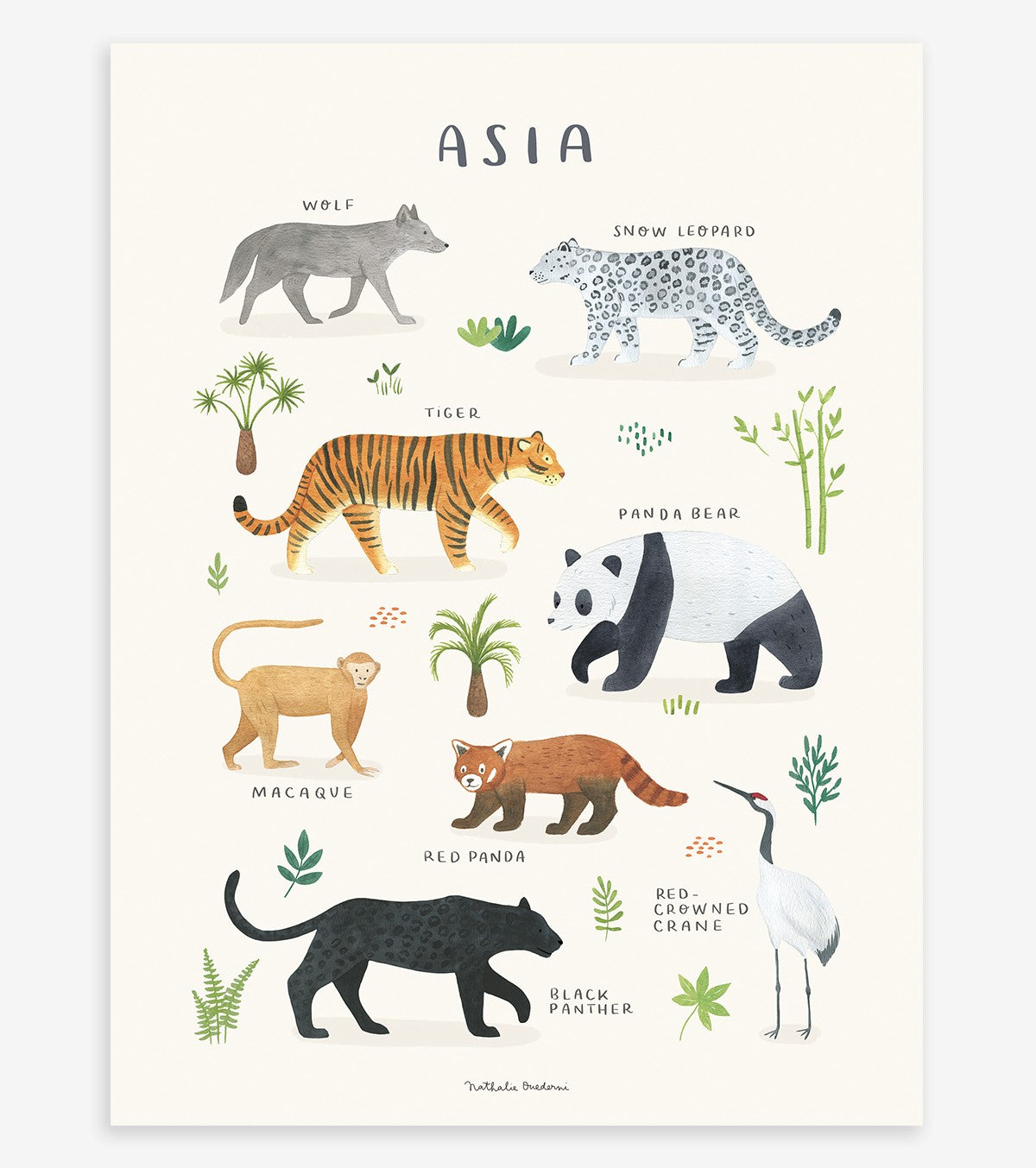 Living Earth – Children’s Poster – Asian Animals