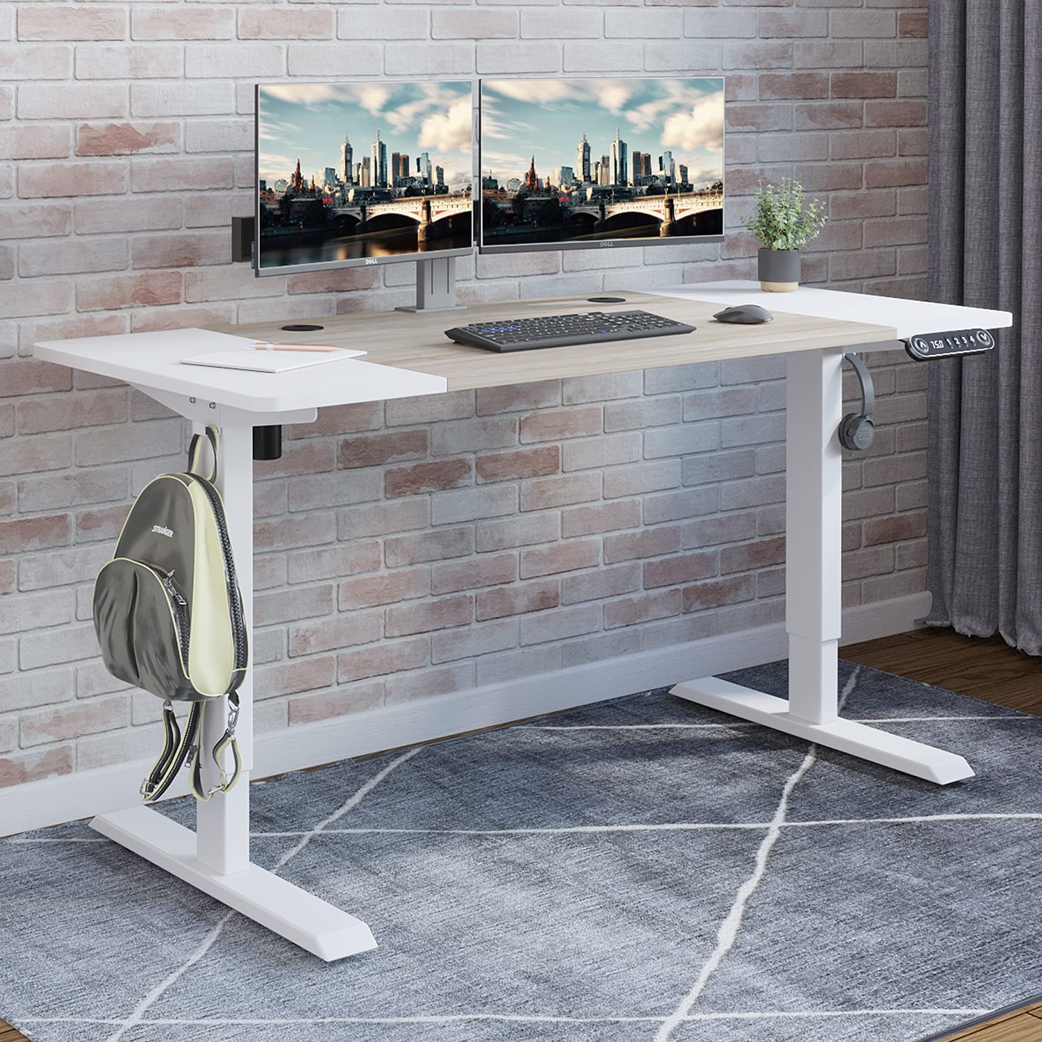 Radlove Electric Height Adjustable Standing Desk, 55 x 24 Inches Stand Up Workstation, Splice Board Home Office Computer Table Ergonomic (White Frame